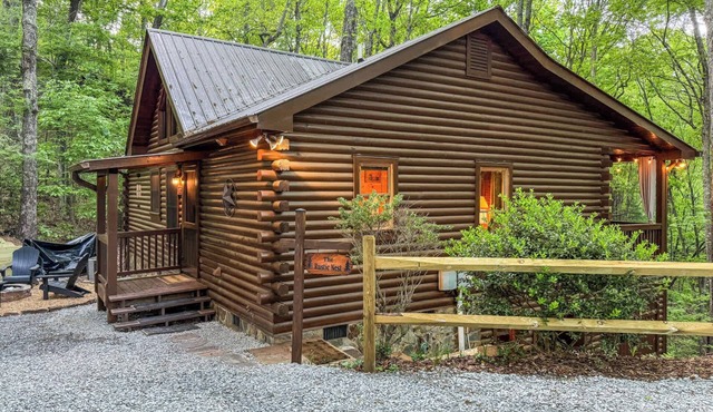 Rustic Nest - Quaint, cozy, dog friendly, hot tub in Blue Ridge