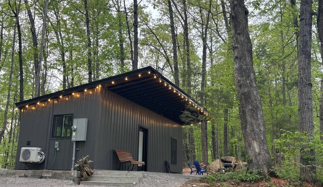 Secluded 1 br cabin getaway with AC, WiFi in charming Byrdstown on Dale Hollow