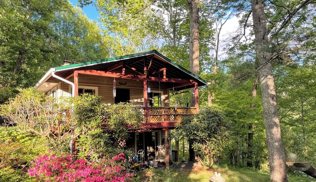 Secluded Mountain Cabin by the New River l Hot Tub + Game Room l Pet-friendly