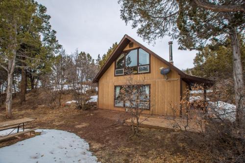 Singer Cabin 2 in Ridgway