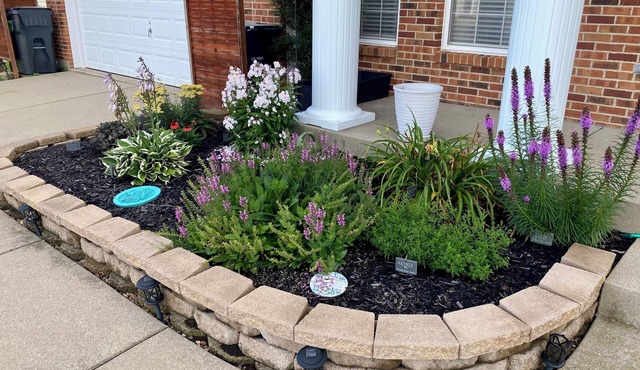 Spacious 4-bedroom house in safe and quiet Fairview Heights, IL with AC & yards!