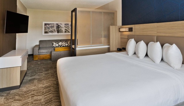 SpringHill Suites by Marriott Birmingham Colonnade