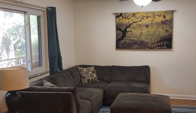 Steps to Neyland & Thompson-Boling: Large 2BR/1bath with parking