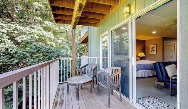 Stunning Ocean and Mountain View Studio with Private Balcony near Moran State Park in Eastsound