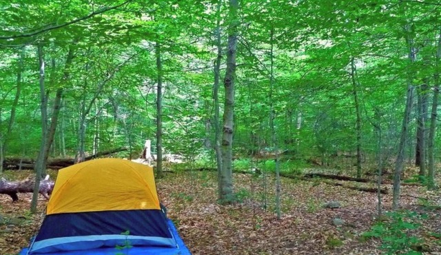 Tent Camping ROCK THE SOUTH Walk to Rock The South.