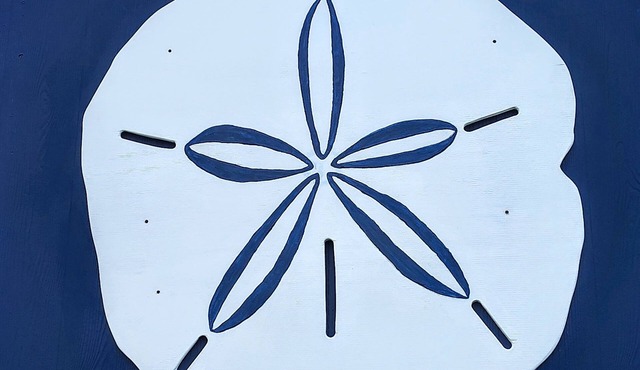The Blue Sand Dollar at Harkers Island! Water Views, 4 beds 2 baths!