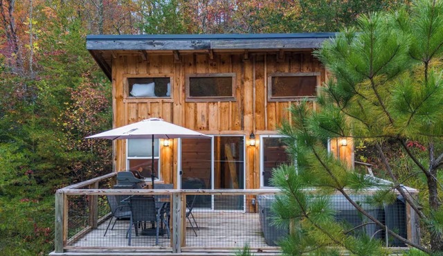The Dragonfly - Tiny Mountaintop Cabin w/Hot tub