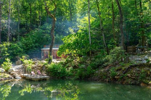 Tiny Fox Pond side Retreat with Forest Views in Newport
