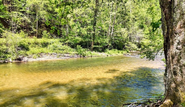 Toccoa River Cabin - Private Fishing Retreat, Summer on the Toccoa River! in Suches