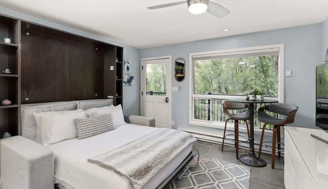 Updated Aspen Core Studio on River! in Aspen