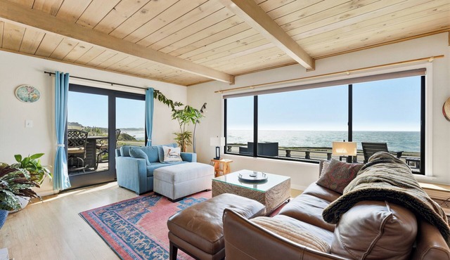 Views from Bodega Head to Jenner! Luxurious Beds. Fireplace. Hot Tub. Dogs, yes! in Bodega Bay