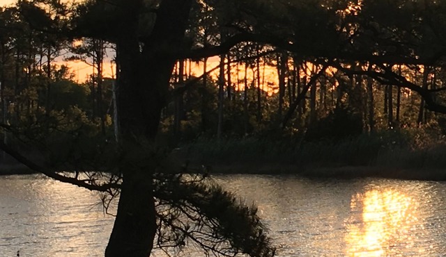 Waterfront Hideaway PRIVATE 3rd flr guestsuite PRIVATE DECK Nature Preserve View in Hampton