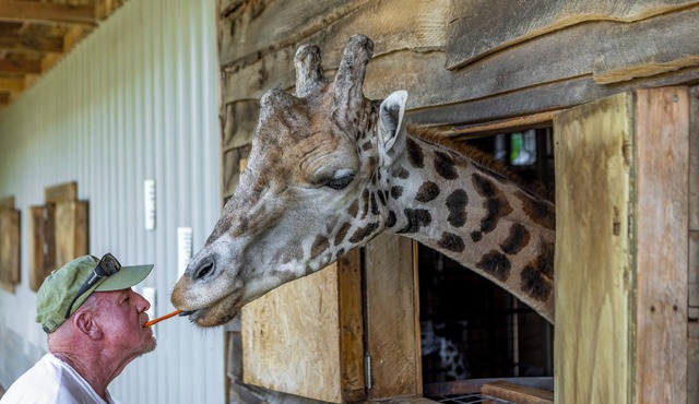 Zootastic Retreat | Private Hot Tub + Zoo Access