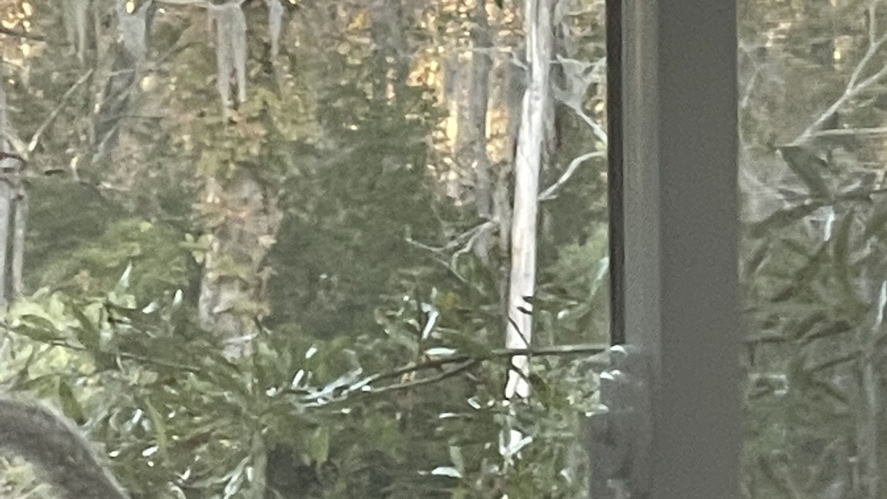 Photo of Others in River Bend