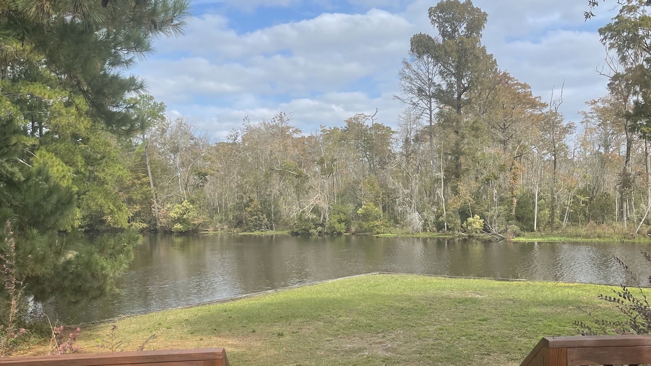 Photo of Outdoor in River Bend