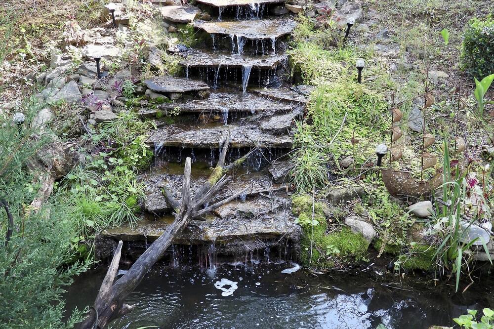 Photo of Outdoor in Pickens