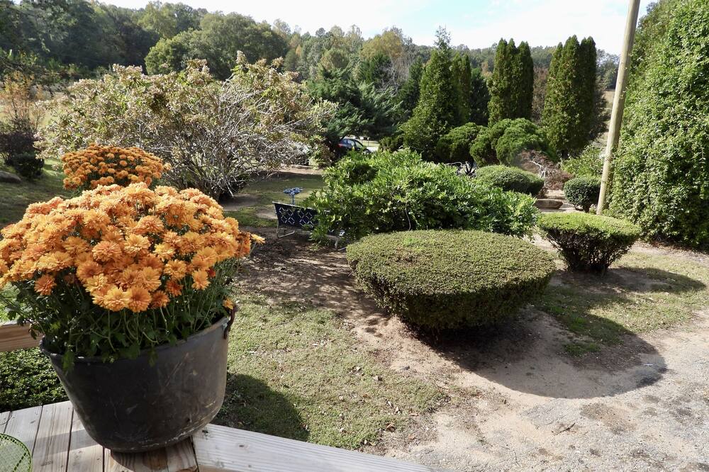 Photo of Outdoor in Pickens