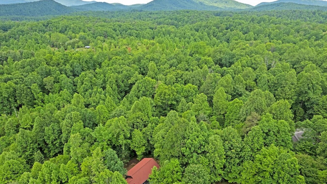 Photo of Outdoor in Saluda