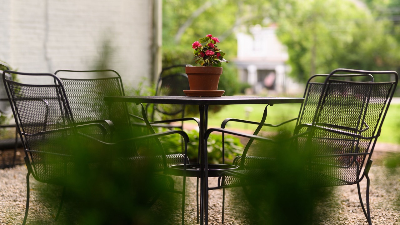 Photo of Outdoor in Versailles