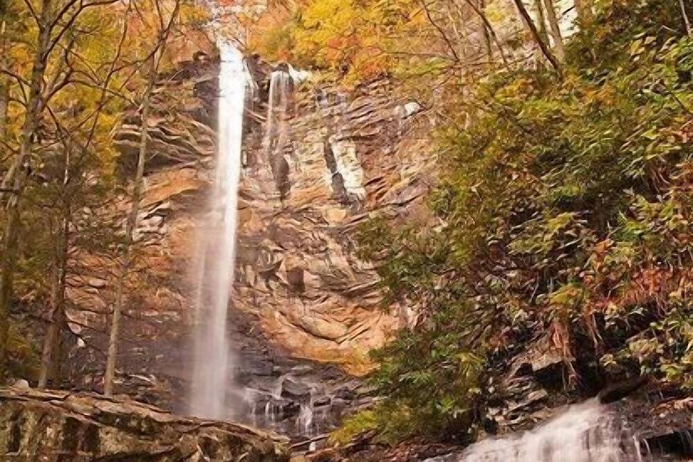 Photo of Others in Pickens