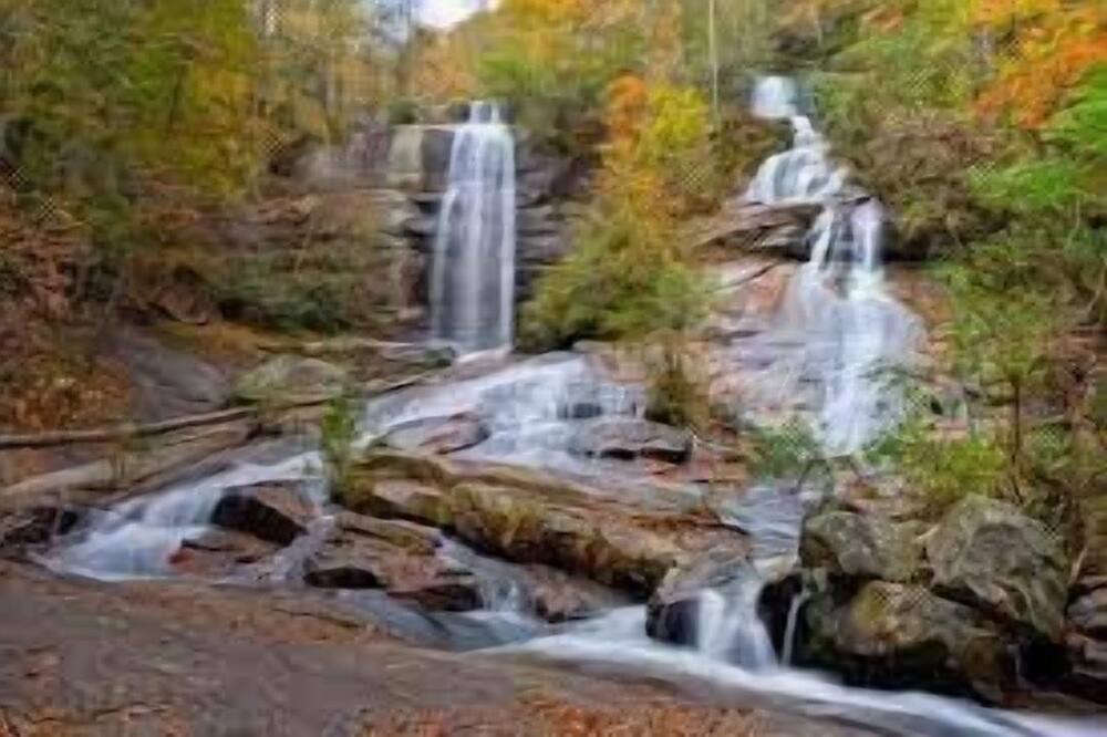 Photo of Others in Pickens