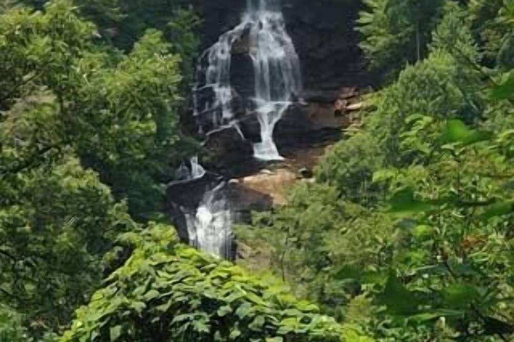 Photo of Outdoor in Pickens
