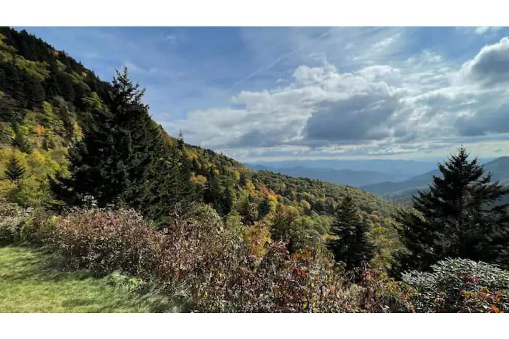 Photo of Others in Cullowhee