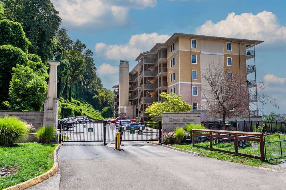 Photo of Others in Knoxville