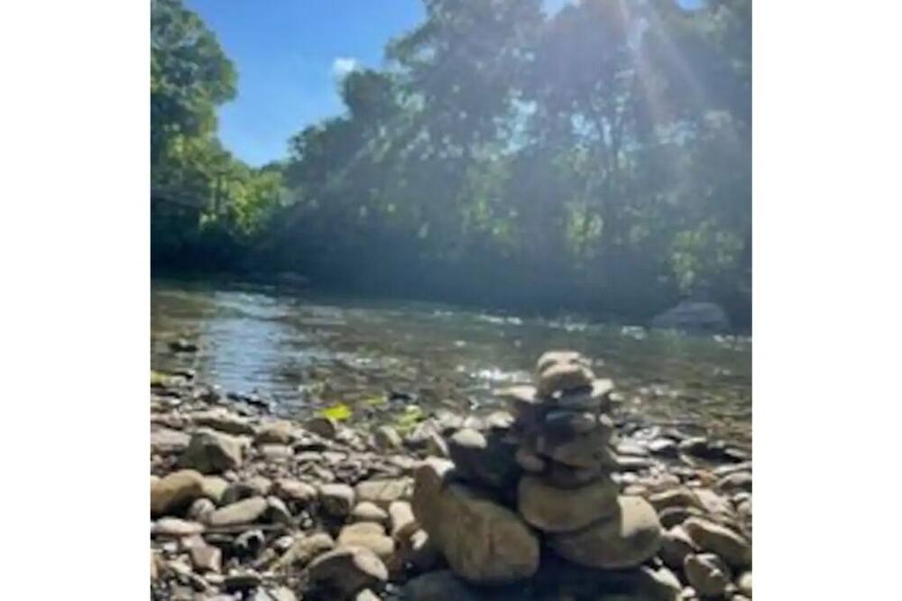 Photo of Others in Woodstock