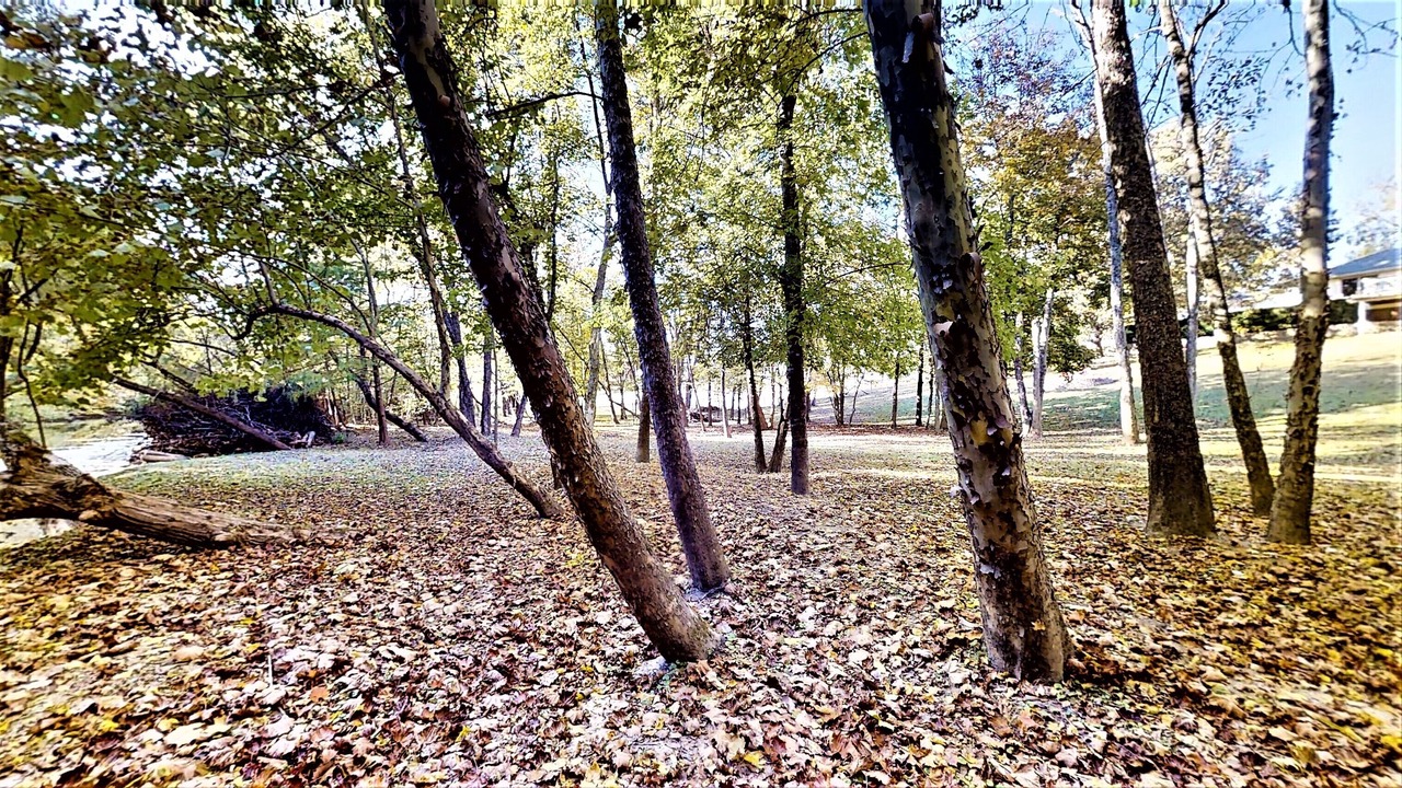 Photo of Outdoor in Cookeville