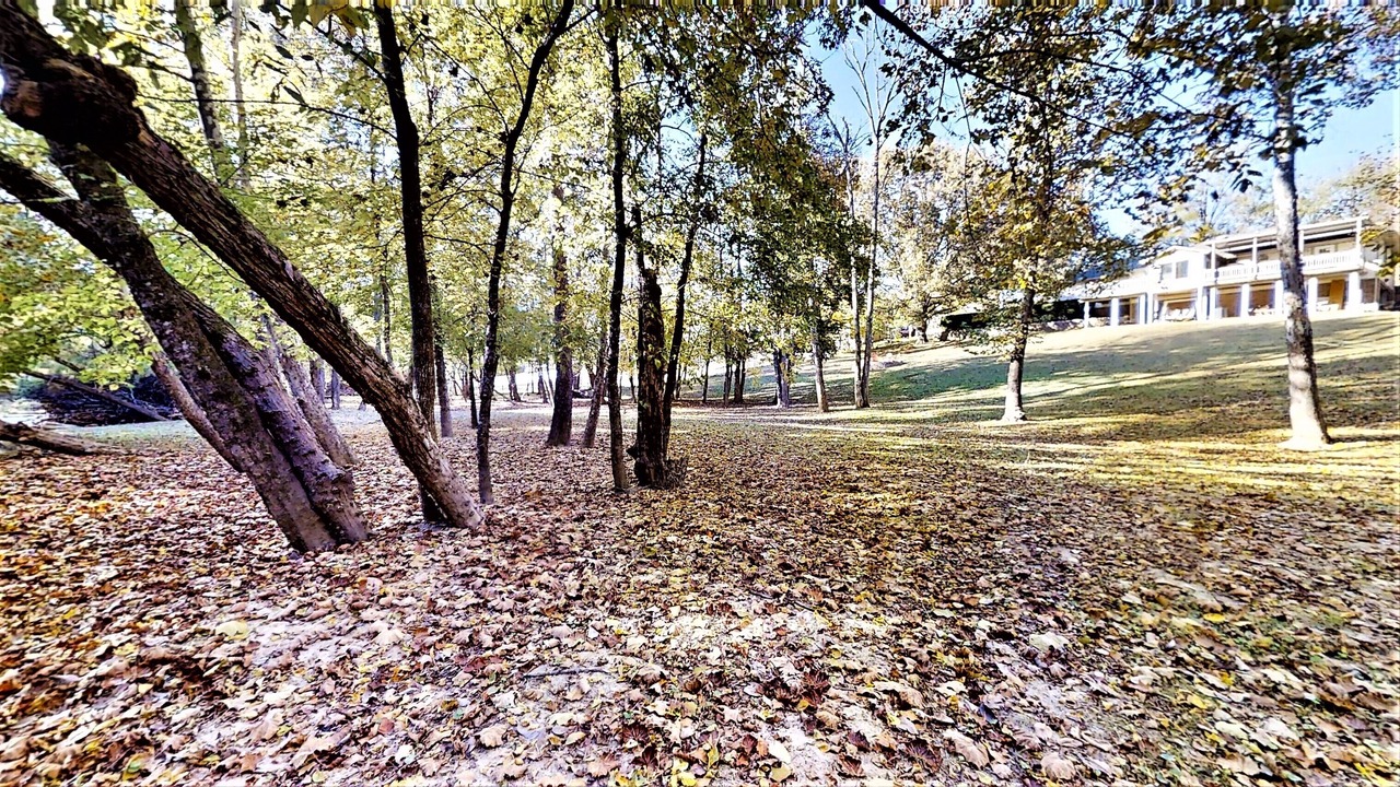 Photo of Outdoor in Cookeville