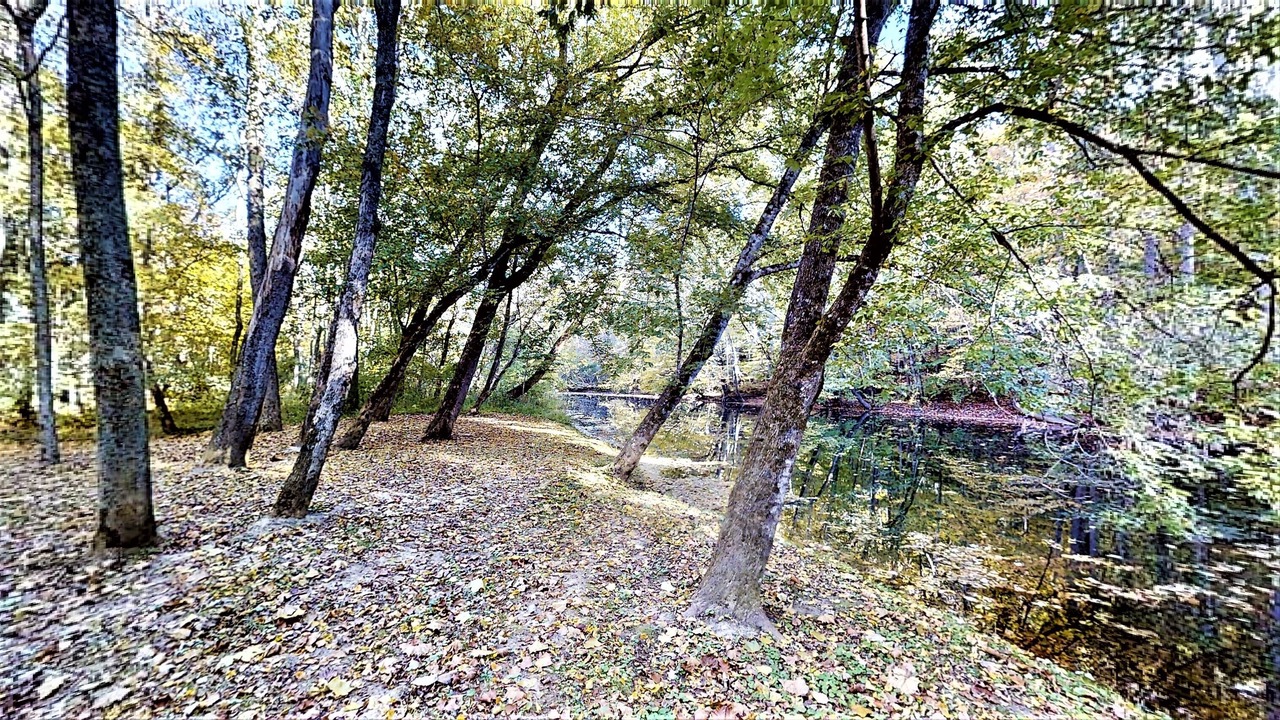 Photo of Outdoor in Cookeville