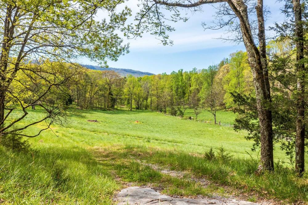 Photo of Outdoor in Lookout Valley Neighborhood Association