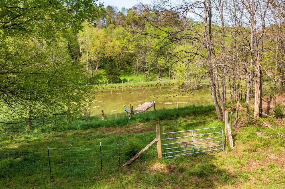 Photo of Outdoor in Lookout Valley Neighborhood Association