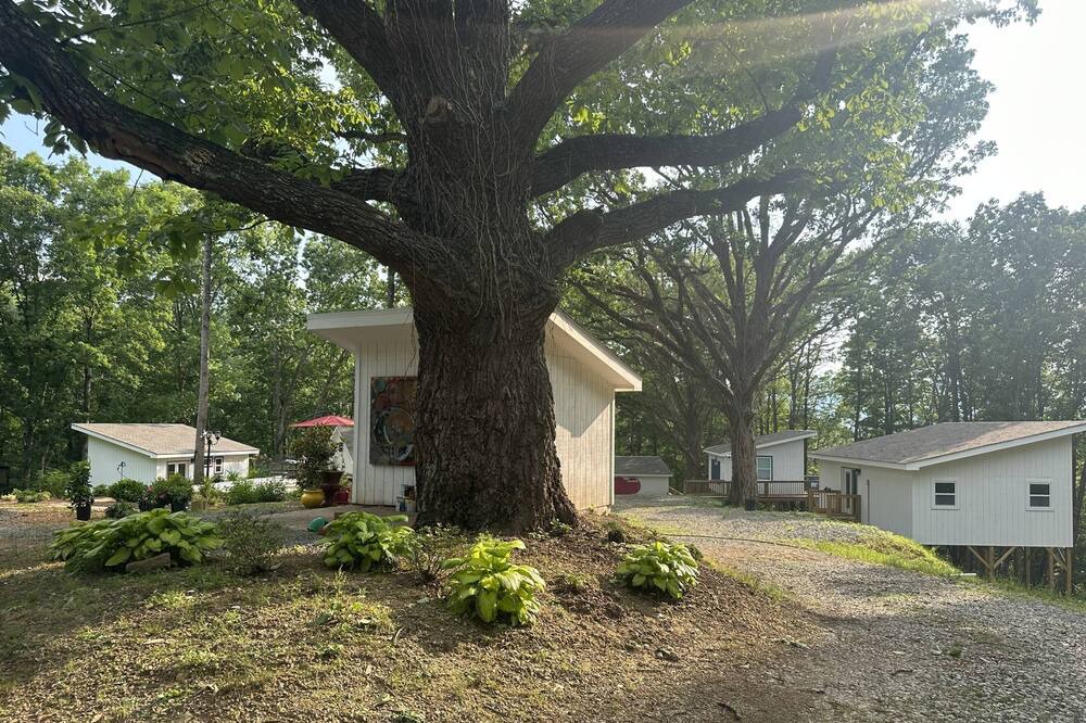 Photo of Others in Wildwood