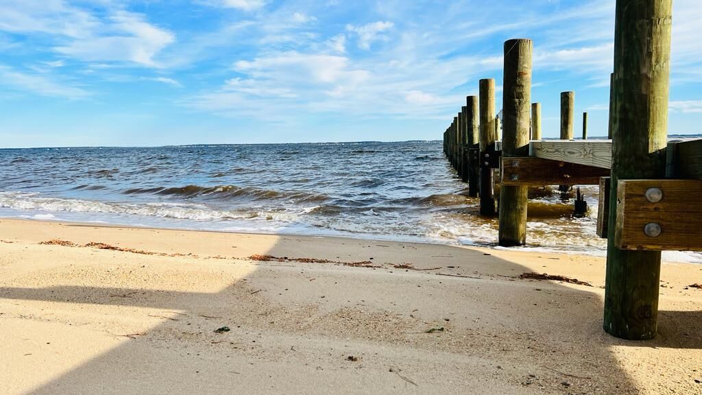 Photo of Others in Minnesott Beach