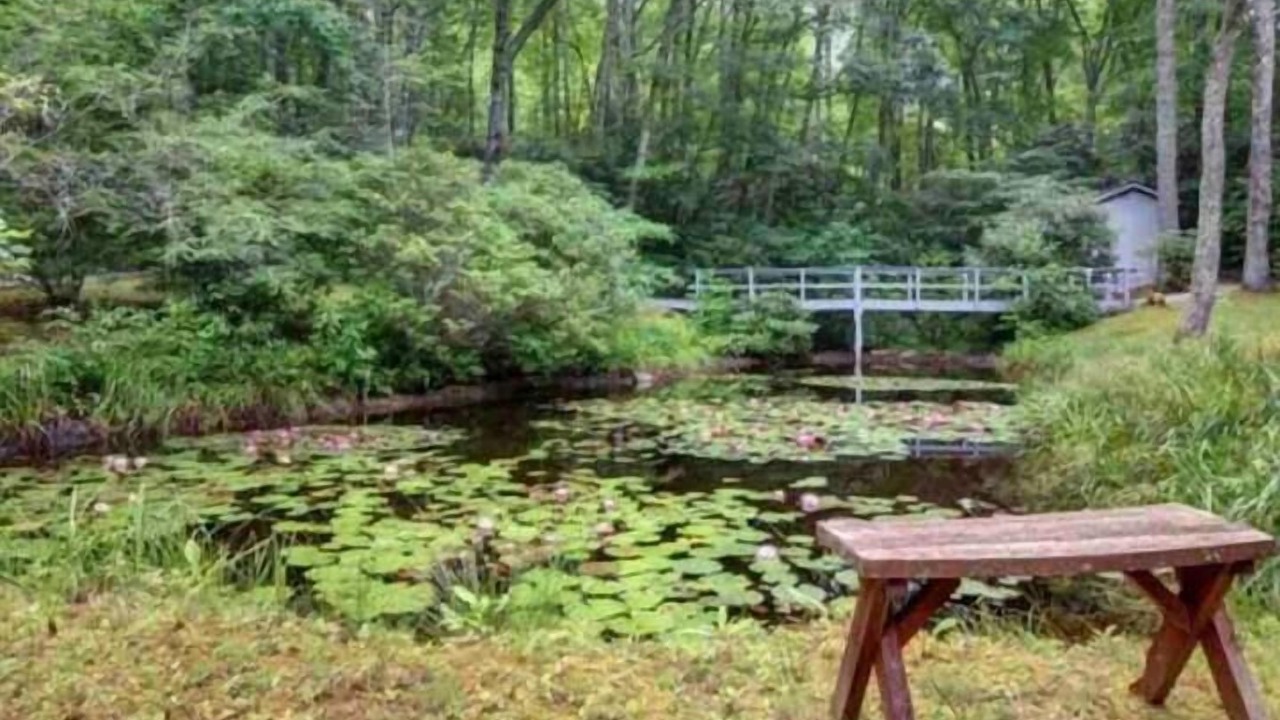 Photo of Outdoor in Lake Sequoyah