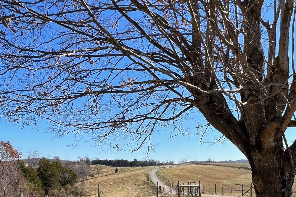 Photo of Others in Monticello