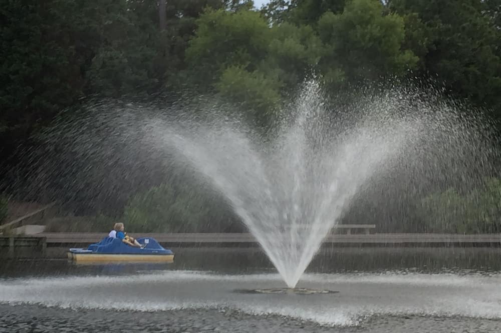 Photo of Outdoor in Sea Scape