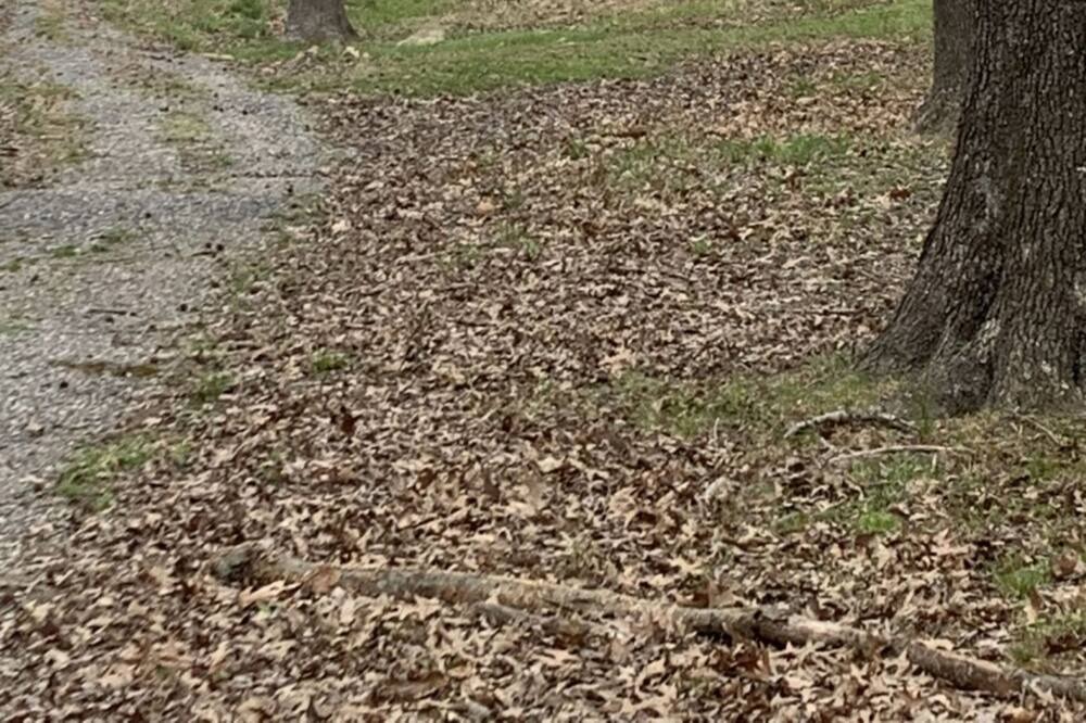 Photo of Outdoor in Benton