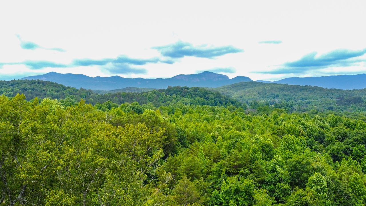 Photo of Outdoor in Pickens