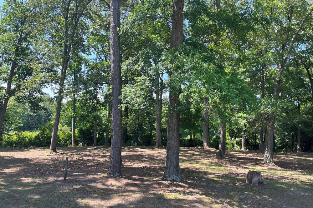 Photo of Outdoor in West Point