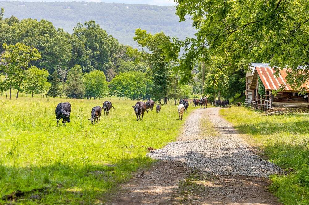 Photo of Others in Lookout Valley Neighborhood Association
