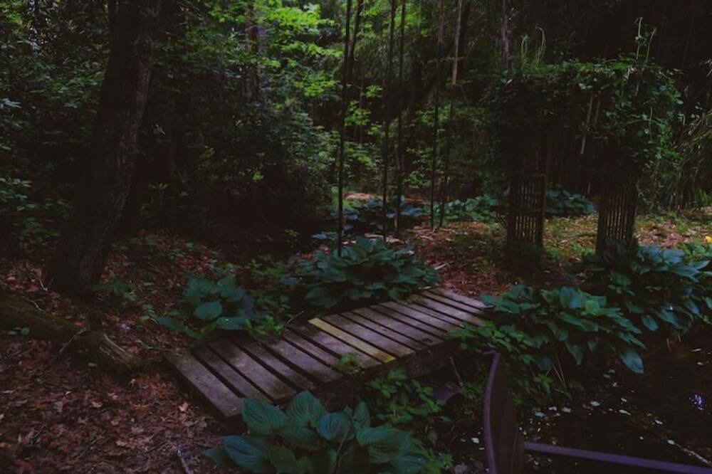 Photo of Outdoor in Mills River