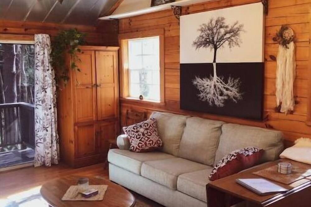 Photo of Livingroom in Mills River