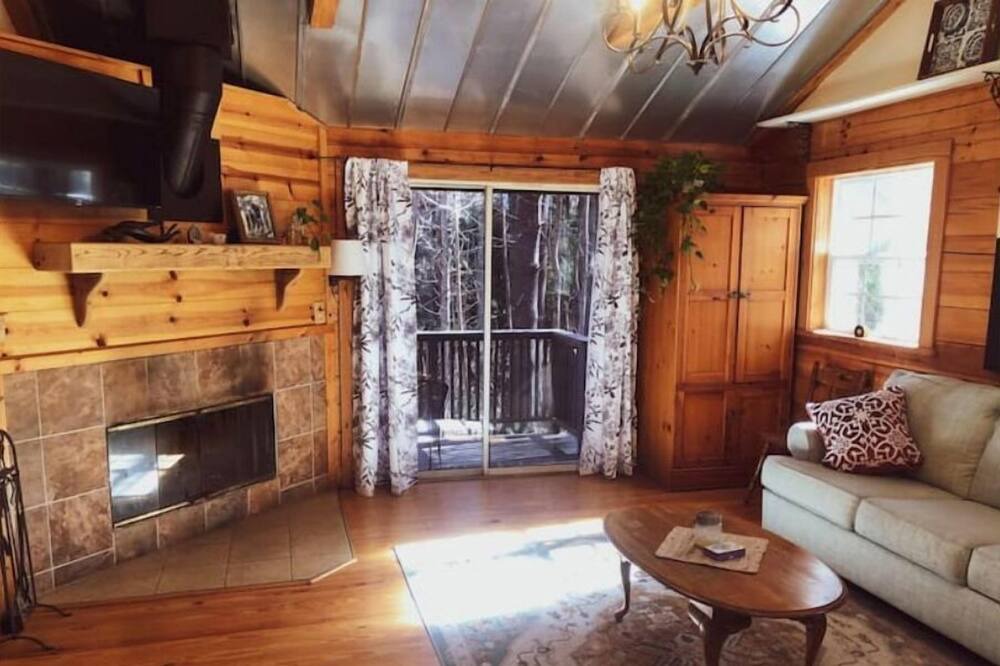 Photo of Livingroom in Mills River
