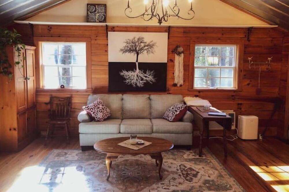 Photo of Livingroom in Mills River