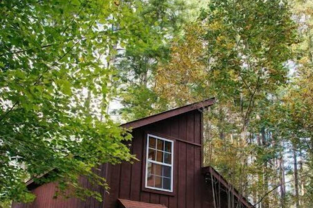 Photo of Outdoor in Mills River