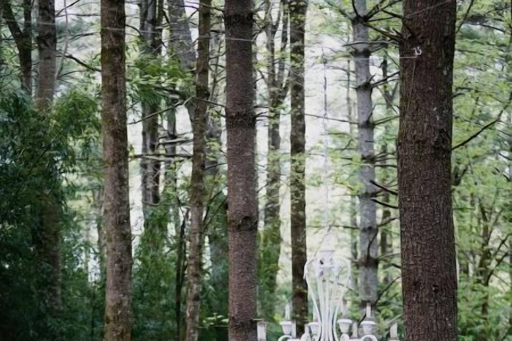 Photo of Outdoor in Mills River