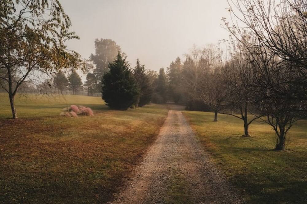 Photo of Outdoor in Mills River